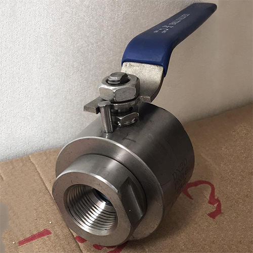 ������˿������